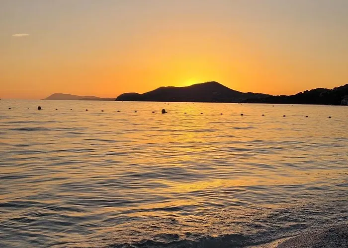 Spacieux T4 Renove En Plein Coeur De Ideal Pour Des En Famille Lejlighed *